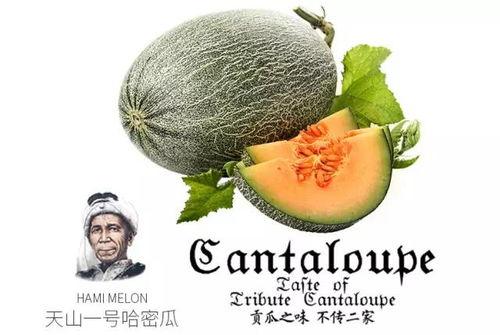 网红吃瓜视频推荐大全,一网打尽热门话题！