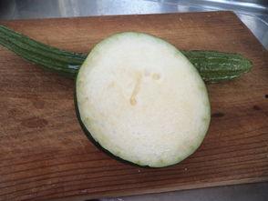 田园瓜怎么吃才好吃呢视频