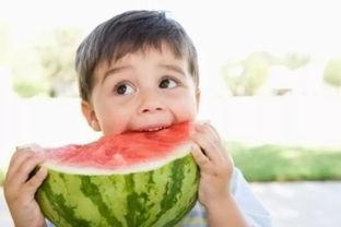 幼儿家长吃瓜视频大全播放,趣味亲子时光瞬间回顾