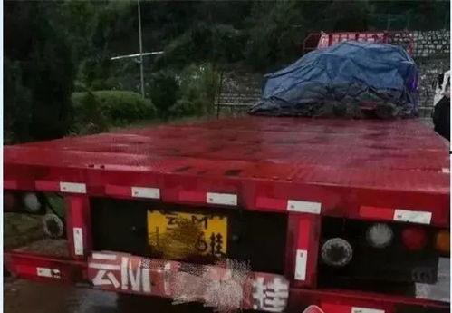 司机吃瓜撞车视频播放下载,司机吃瓜瞬间撞车，视频播放下载引热议