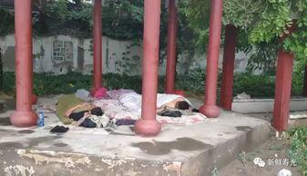 自制吃瓜凉亭视频,夏日清凉生活新体验