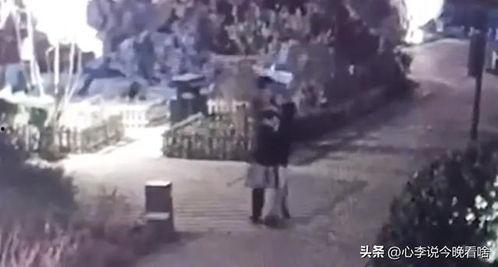 唐县吃瓜事件真相视频播放